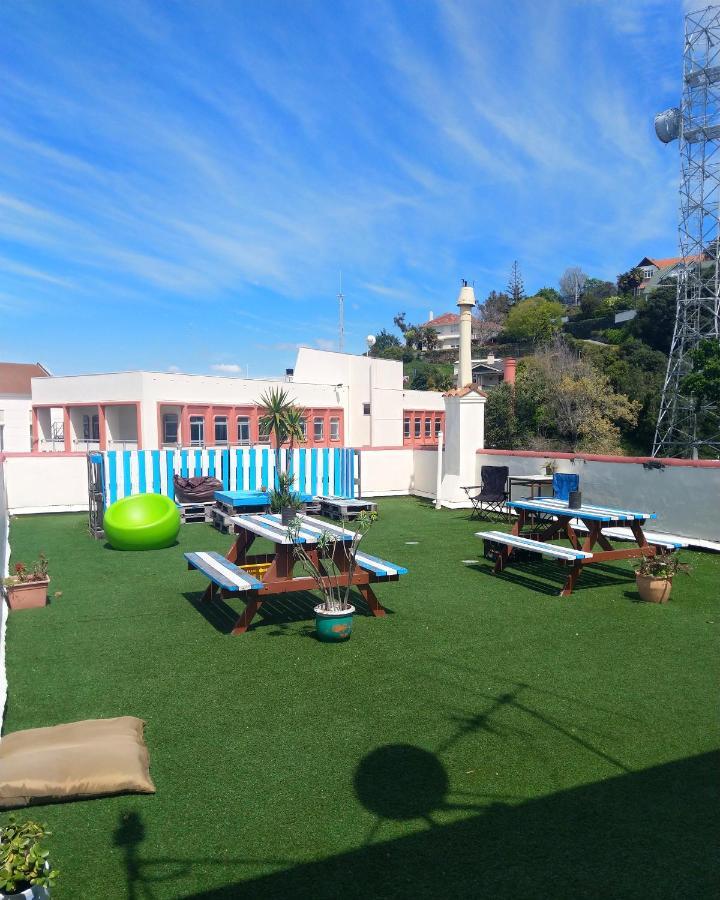 Crashpalace Backpackers Napier Luaran gambar
